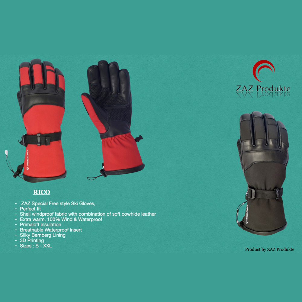 Ski Gloves
