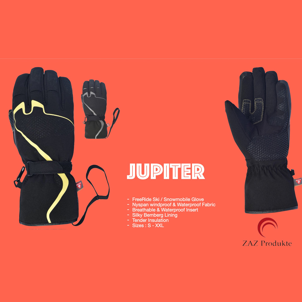 Ski Gloves