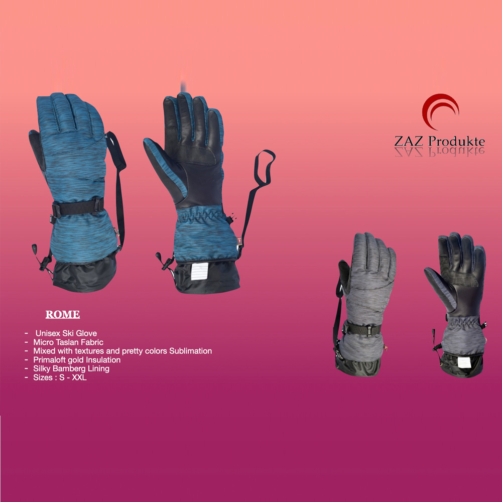Ski Gloves