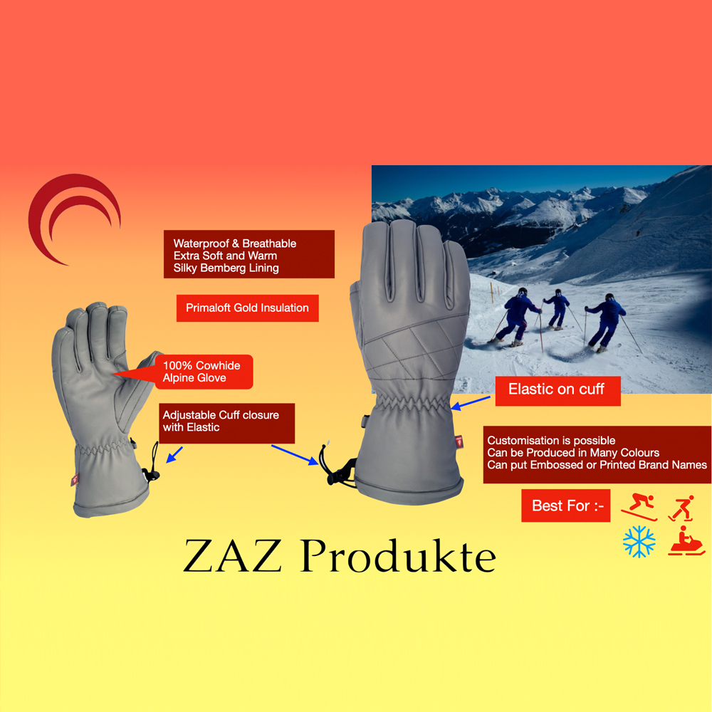 Ski Gloves