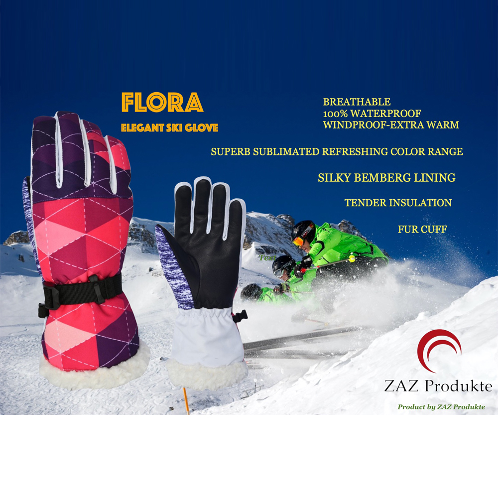 Ski Gloves